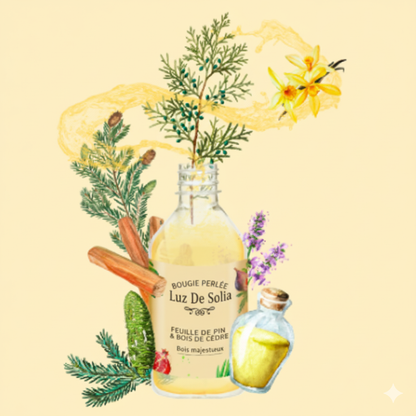 Diffuseur Feuilles de Pin & Bois de Cèdre 200 ml