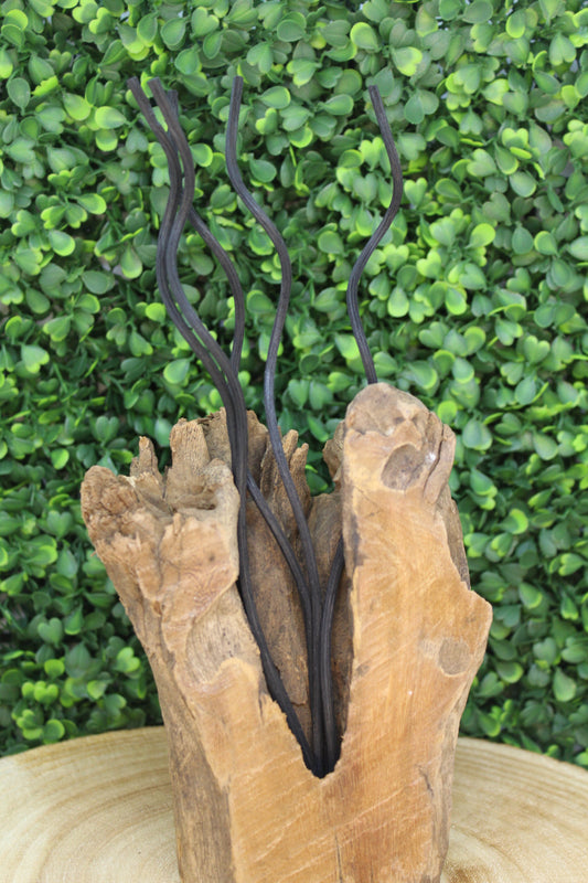 Bâtonnets de rechange Spiral Luz De Solia (noir)